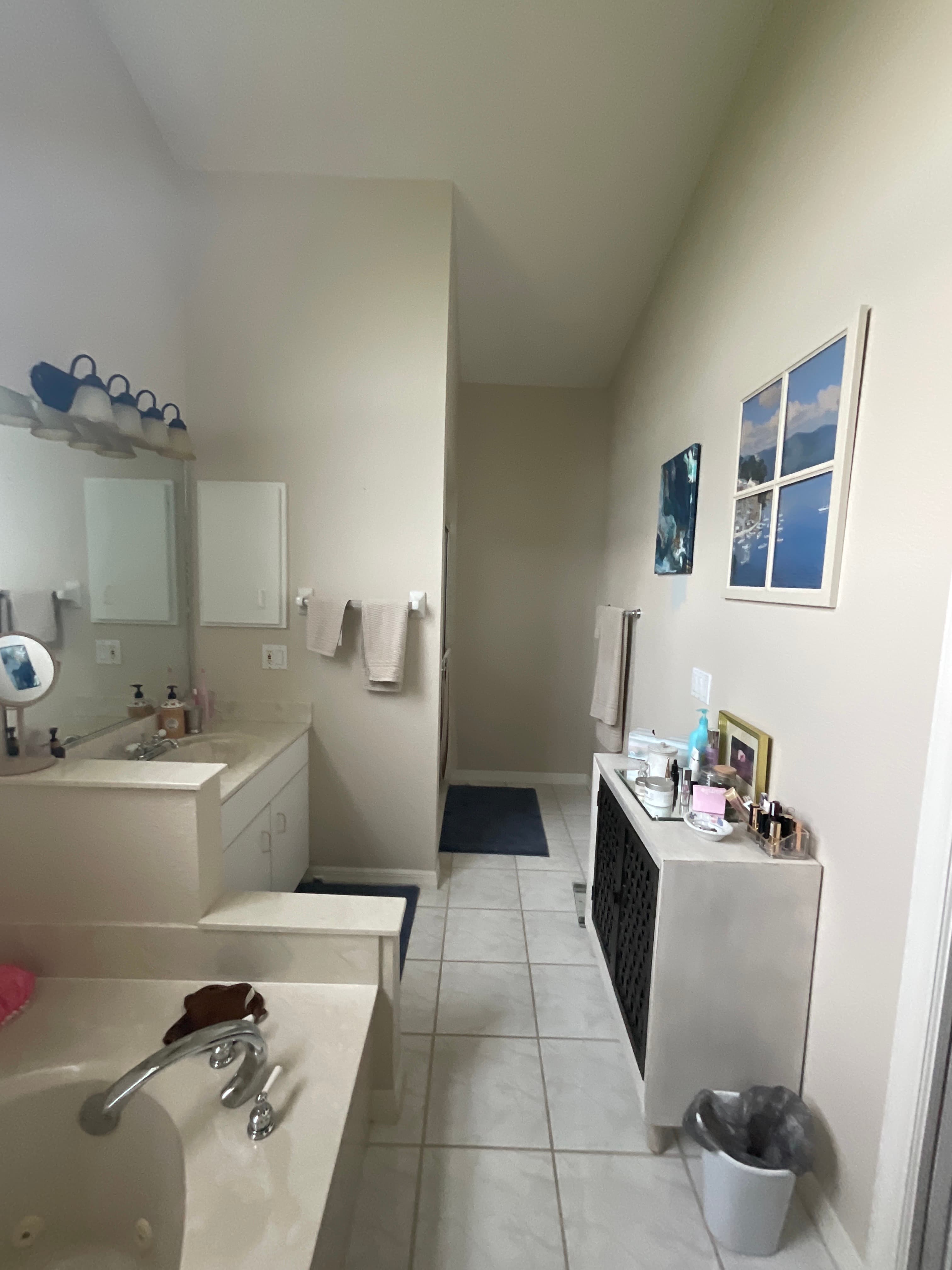 Bathroom before — angle 3
